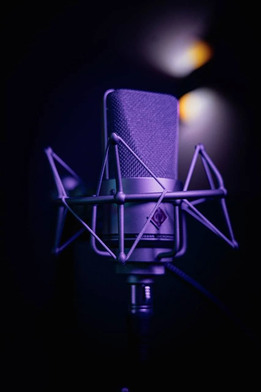 333 SOUND PREMIUM фото 9